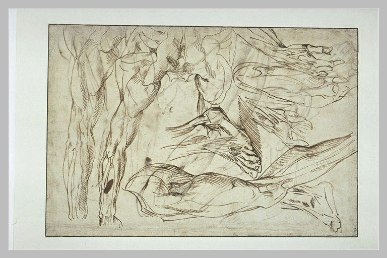 Etude de pieds, de jambes, de bras et de mains