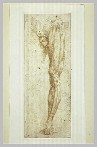 Etude de la partie inférieure d'un homme nu