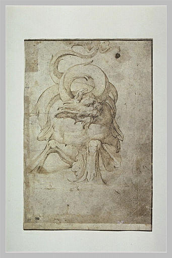 Un monstre à queue de poisson