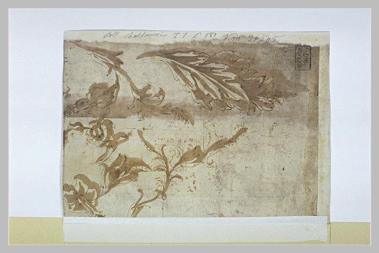 Cinq études de feuilles et de fleurs stylisés, et contour d'une aiguière