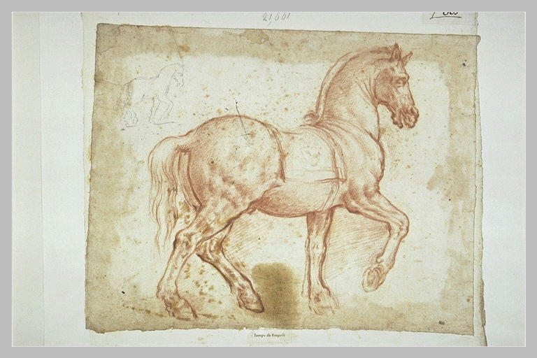 Cheval marchant vers la droite, portant sur la selle l'emblème des Médicis