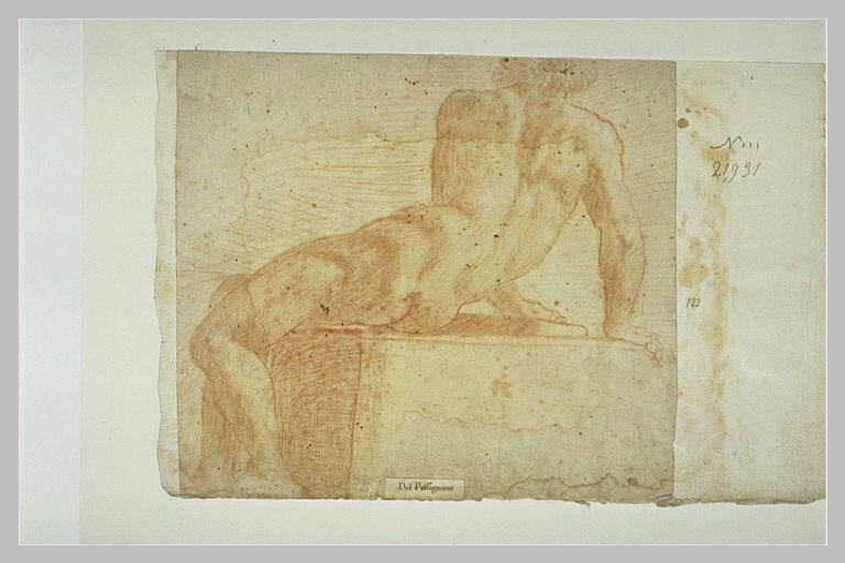 Homme nu, assis, de dos, s'appuyant sur les deux mains