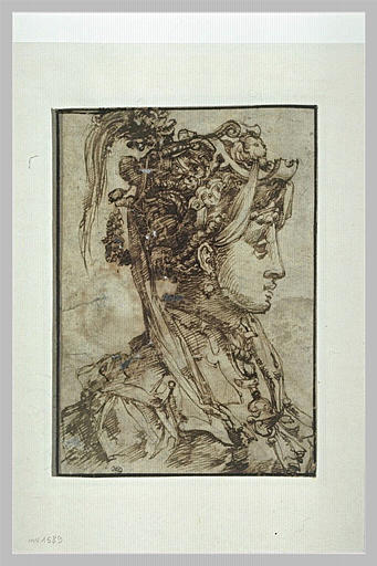 Femme avec une coiffure maniérée, vue en buste, de profil vers la droite