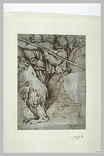 Chasse à l'ours
