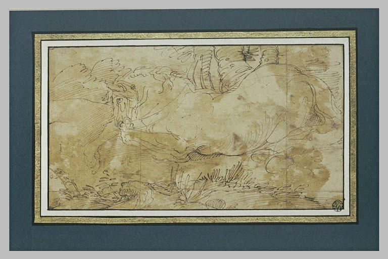 Un cheval en liberté, couché à terre et vu de profil