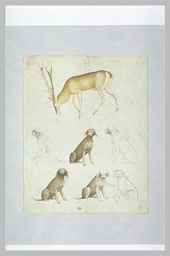 Cerf, de profil vers la gauche, broutant ; six études d'un chien assis