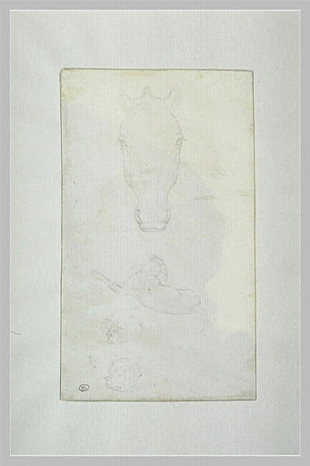 Cheval ; chien couché, vu de dos ; deux études de la tête d'un chien