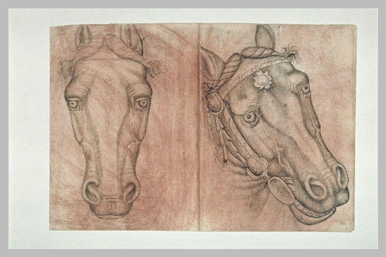 Deux têtes de cheval, l'une de face, l'autre harnachée, de trois quarts