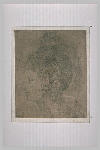Tête de femme avec coiffure maniérée, vue de profil vers la gauche