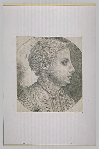 Tête de jeune homme, vue de profil tournée vers la droite