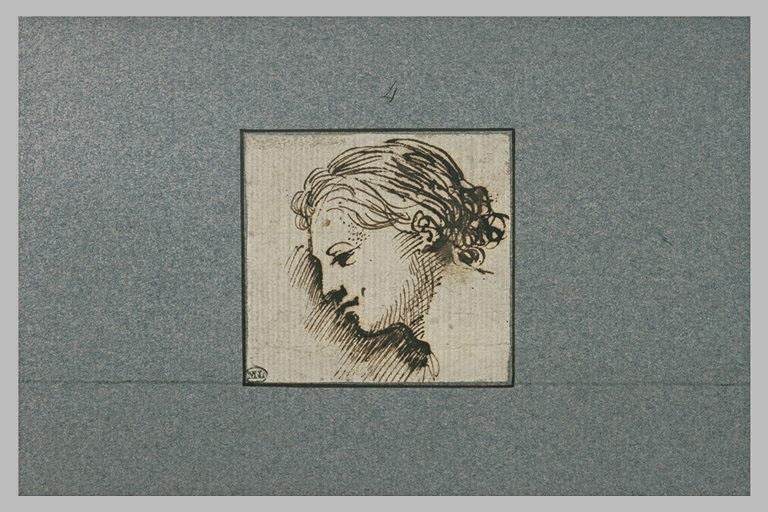 Une tête de femme, de profil vers la gauche