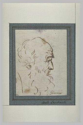 Etude d'une tête de vieil homme barbu, de profil vers la droite