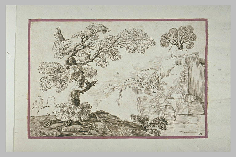 Paysage avec un arbre aux racines découvertes dominant une gorge