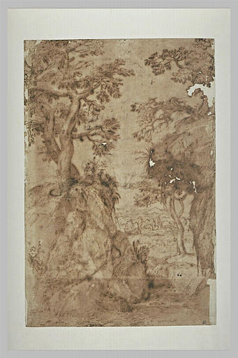 Paysage rocheux et boisé