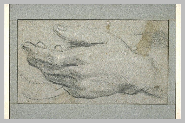 Etude de main