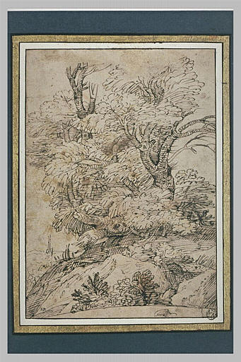 Dans un paysage, un bosquet d'arbres noueux, et un clocher dans le lointain