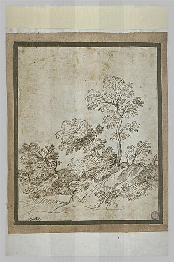 Quelques arbres et arbustes sur un talus