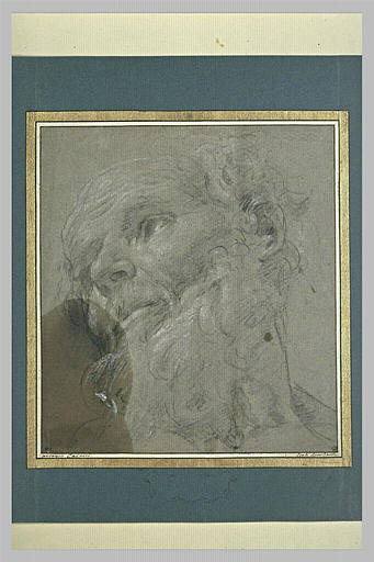 Tête de vieillard, regardant vers la gauche
