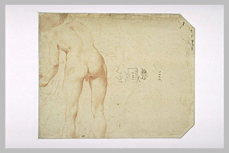 Etude de nu, vu de dos