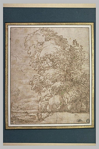 Arbres sur un promontoire rocheux, avec à gauche une plaine et des montagnes