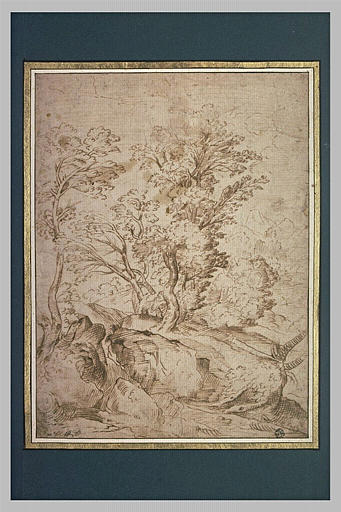 Paysage rocheux er boisé