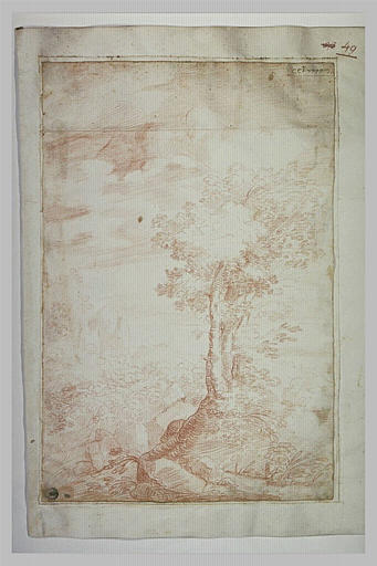 Paysage de rochers sur lesquels poussent des arbres