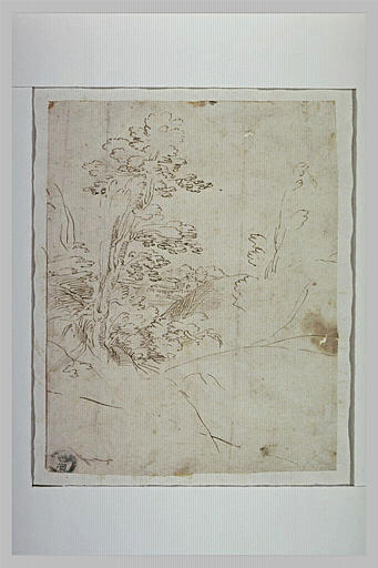 Paysage avec un arbre sur un petit tertre