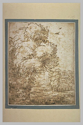 Cascade en bordure d'un bois