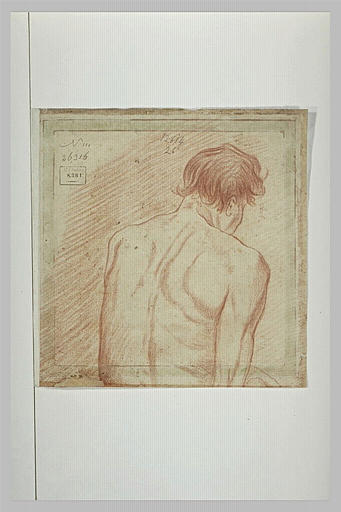 Demi-figure d'homme nu, vu de dos