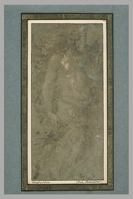 Femme nue, debout, entourée de feuillages