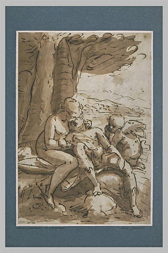 Vénus pleurant Adonis
