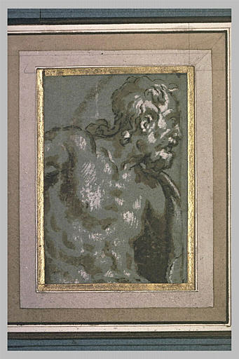 Demi-figure d'homme nu, vu de profil, vers la droite