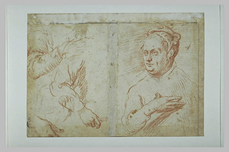 Figure en buste, la main sur la poitrine, deux bras et une main