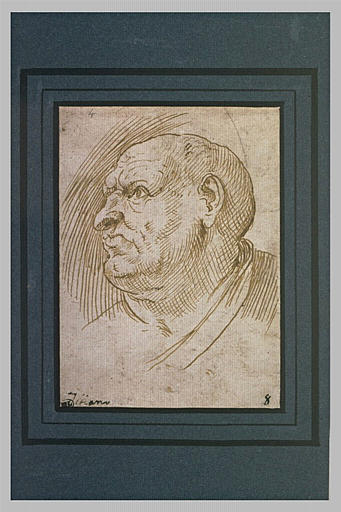 Tête d'homme chauve, de profil, tournée à gauche