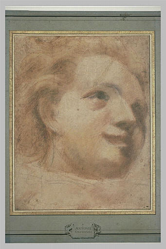 Tête de jeune garçon, vue de trois quarts et tournée vers la droite