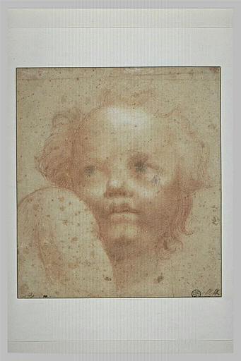 Tête de jeune garçon regardant à gauche