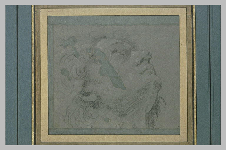 Tête d'homme tourné vers la droite, vue de profil et regardant le ciel