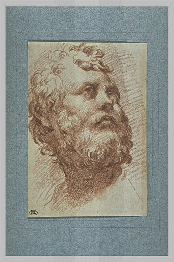 Tête d'homme barbu, regardant vers le haut