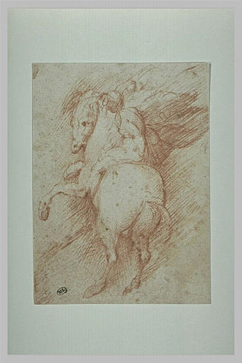 Un homme nu, sur un cheval qui se cabre, vu de dos