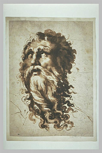 Tête d'homme barbu, regardant vers le haut : saint Jean l'Evangéliste