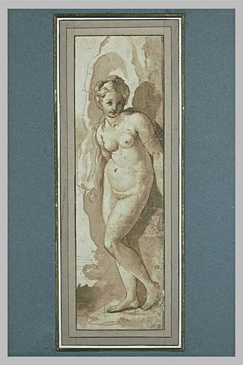 Andromède nue, debout, attachée à un rocher