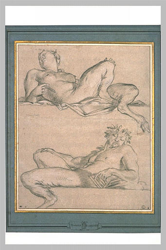 Etude de faune et de faunesse