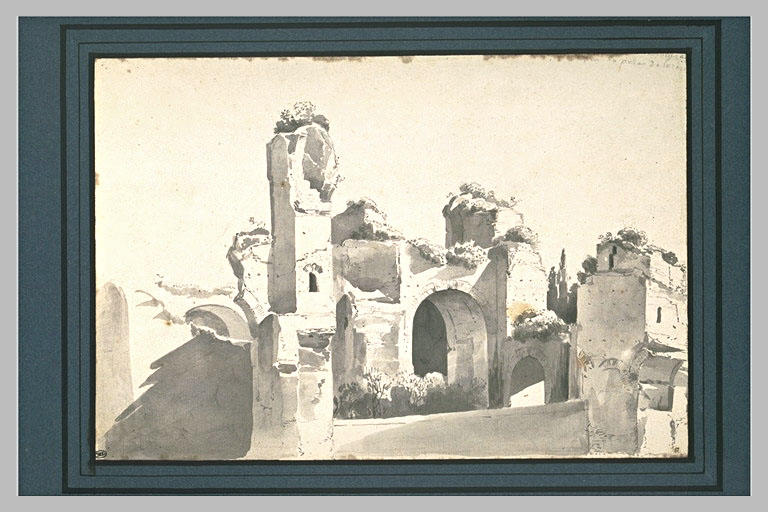 Ruines gagnées par le végétation