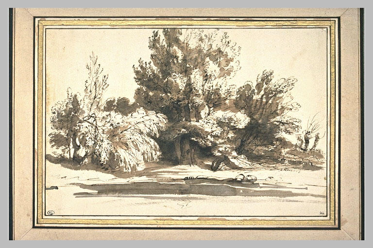 Etude d'arbres sur le bord d'un ruisseau