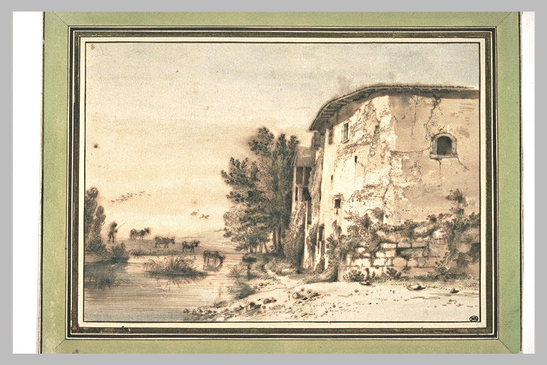 Corps de batiment et des vaches près d'une rivière