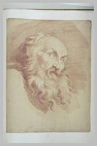 La tête de saint Jérôme