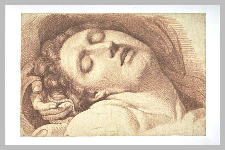 Tête de Vierge, tournée à droite, les yeux fermés