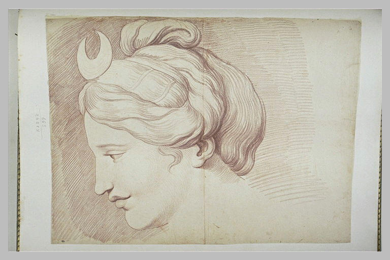 Tête de jeune femme : Diane