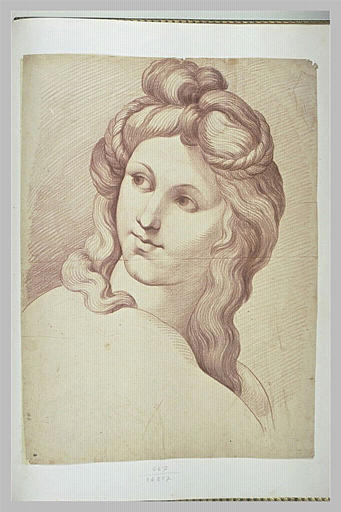 Tête de jeune homme, de trois quarts vers la gauche : Apollon