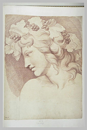 Tête de Bacchus des noces de Psyché